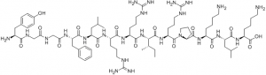 The Chemical structure of Dynorphin A(1-13)
