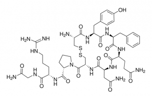 Chemical formula of Argipressin